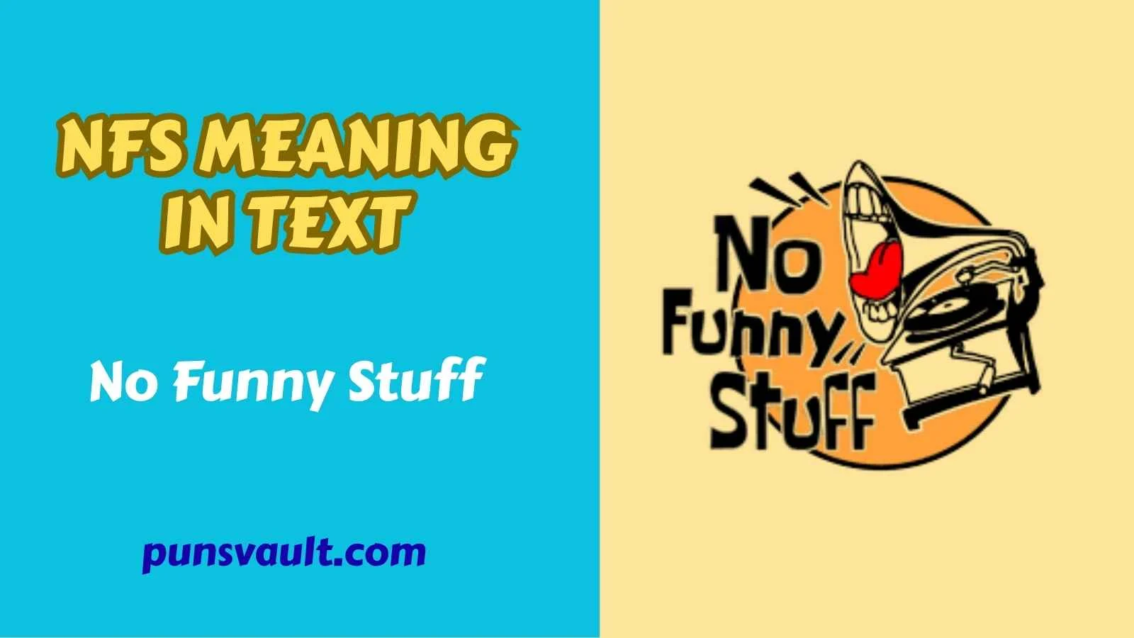 NFS Meaning in Text