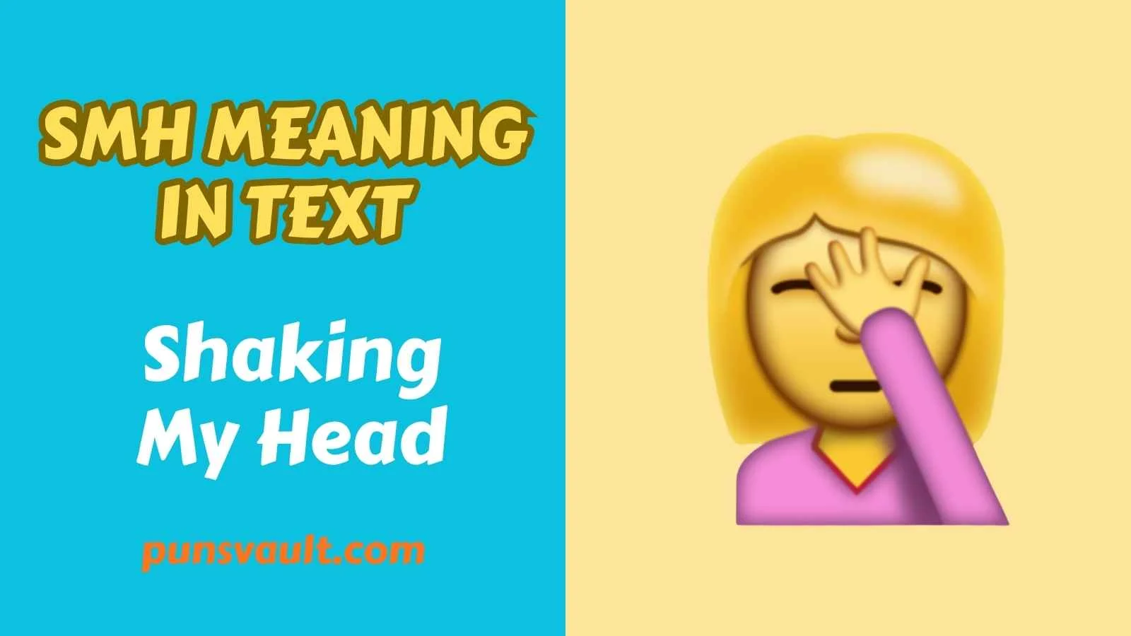 SMH Meaning in Text