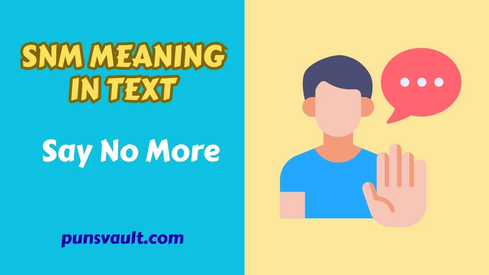 SNM Meaning in Text