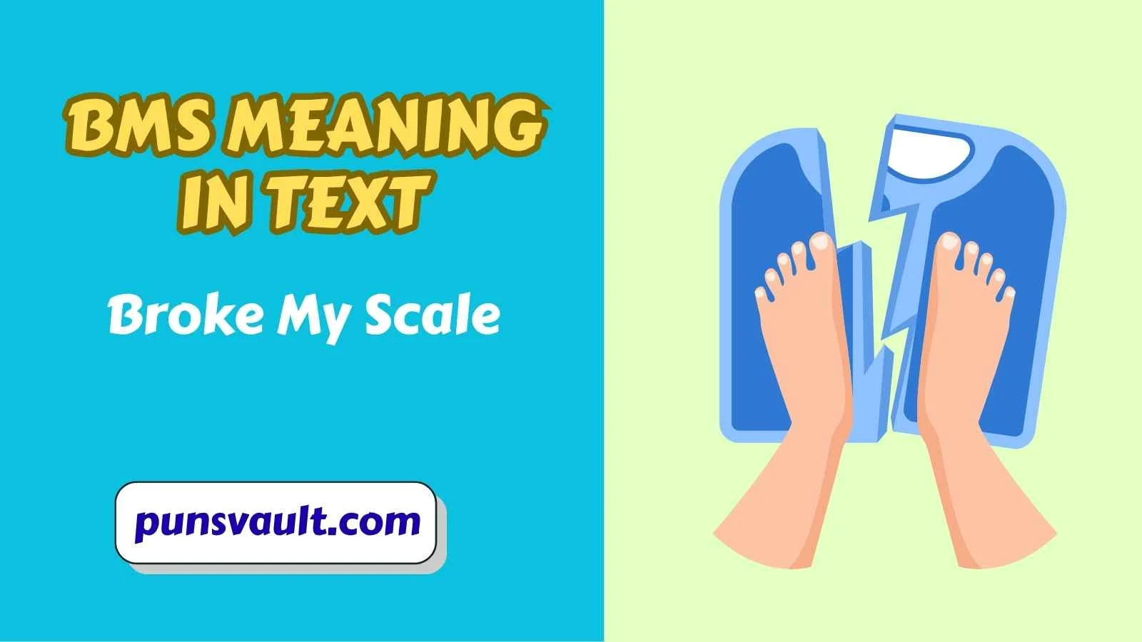 BMS Meaning in Text