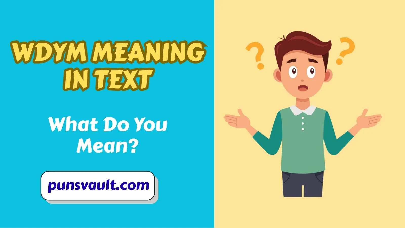 WDYM Meaning in Text