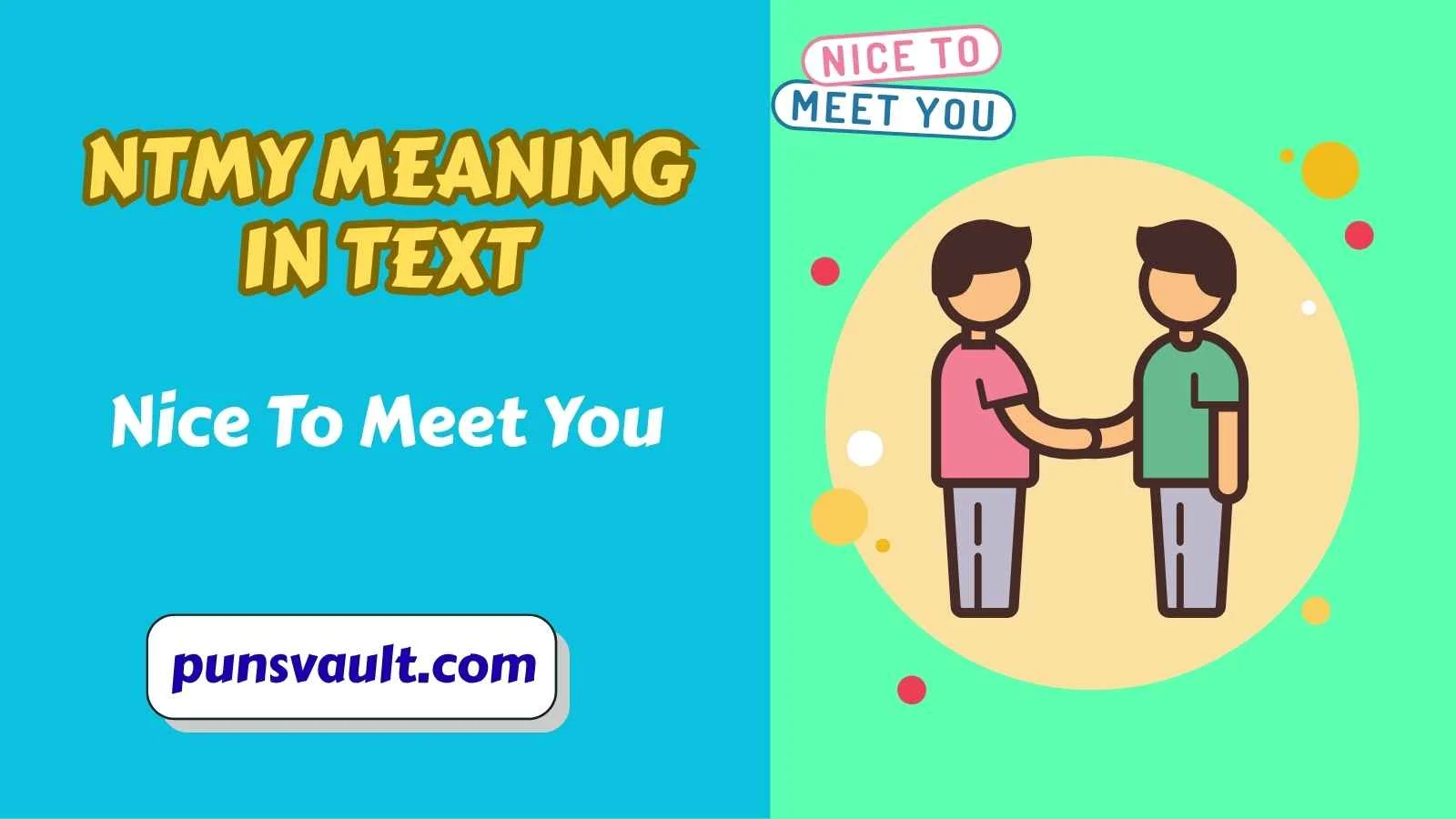 NTMY Meaning in Text