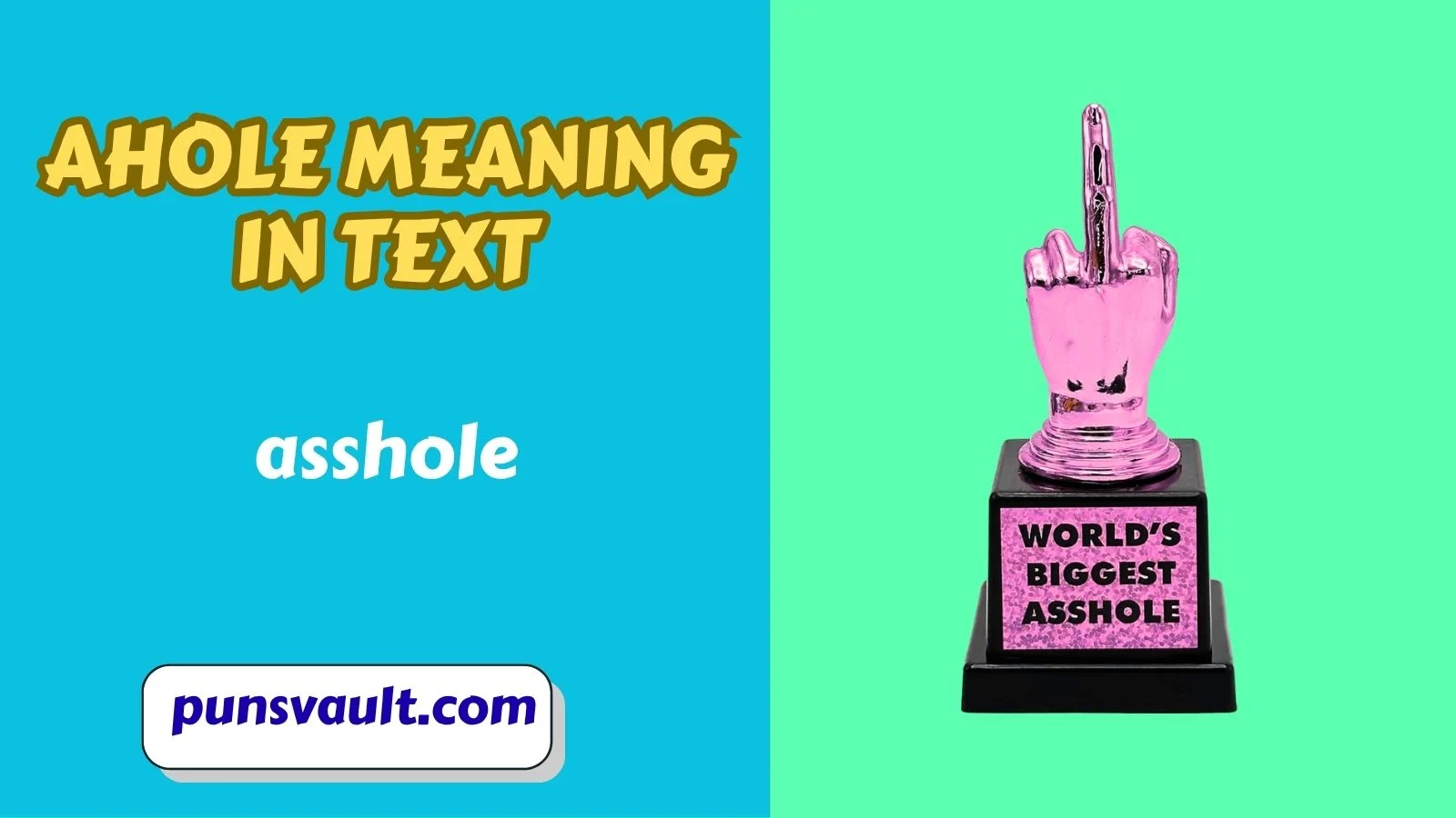 Ahole Meaning in Text
